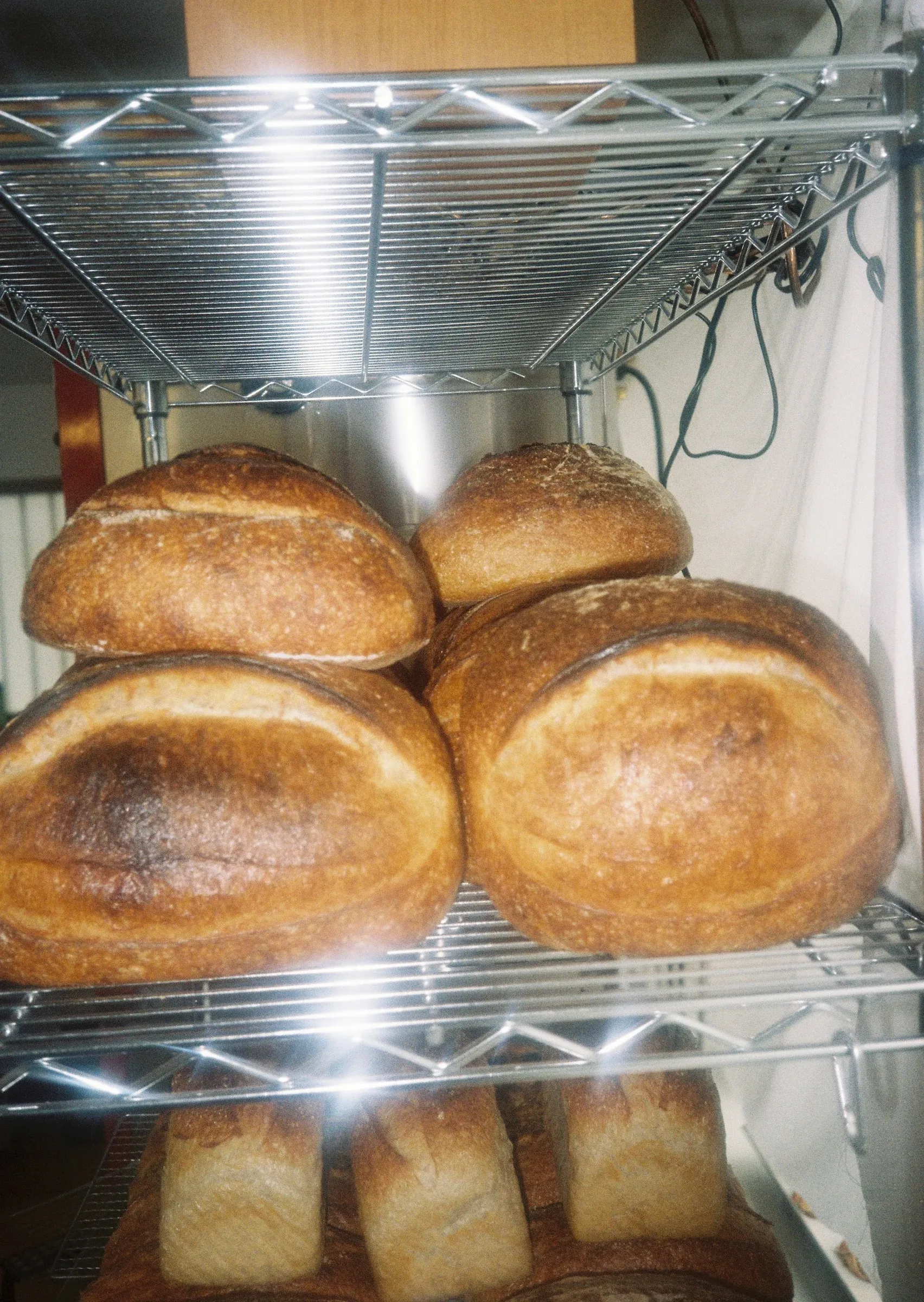 Fresh sourdough loaves stacked on the bakery rack
