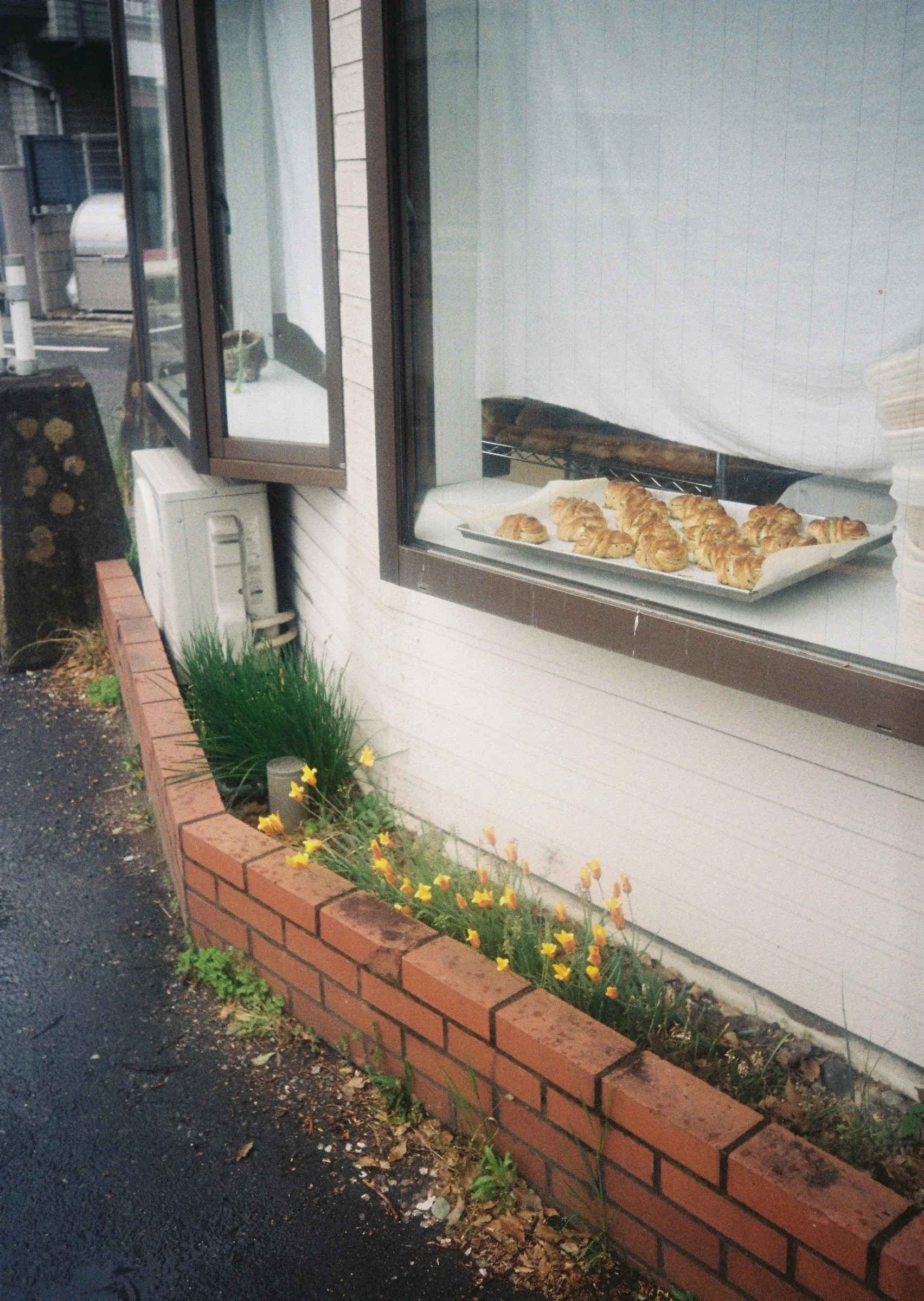 Fresh pastries cooling in Pide's window above a flower bed